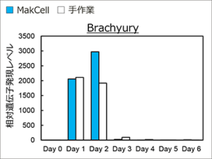 Early endoderm differentiation using MakCell
