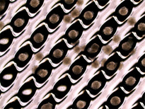 Dimpled plate medium change by MakCell