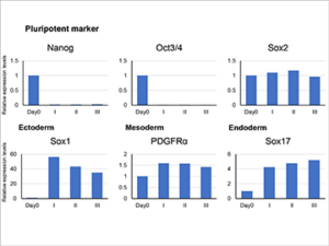 iPS trilineage differentiation using CellPet 3D-iPS