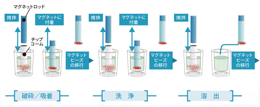 マグネットビーズによる核酸抽出の仕組み